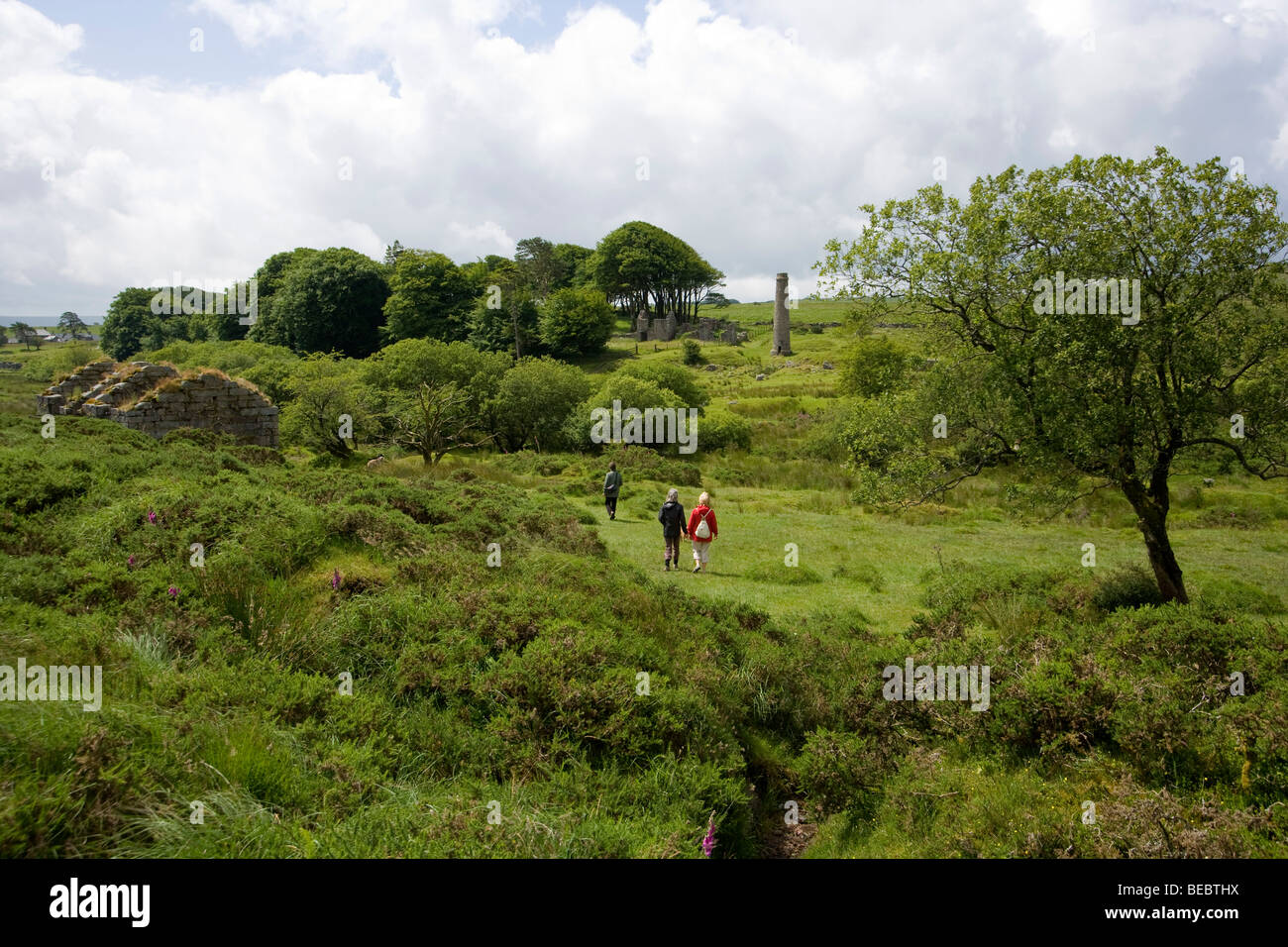 industrial heritage ruins at Powder Mills near Postbridge, Dartmoor