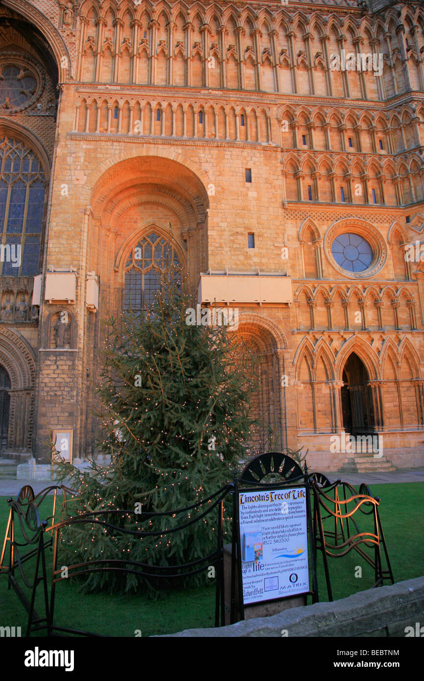Lincoln Cathedral Christmas High Resolution Stock Photography and