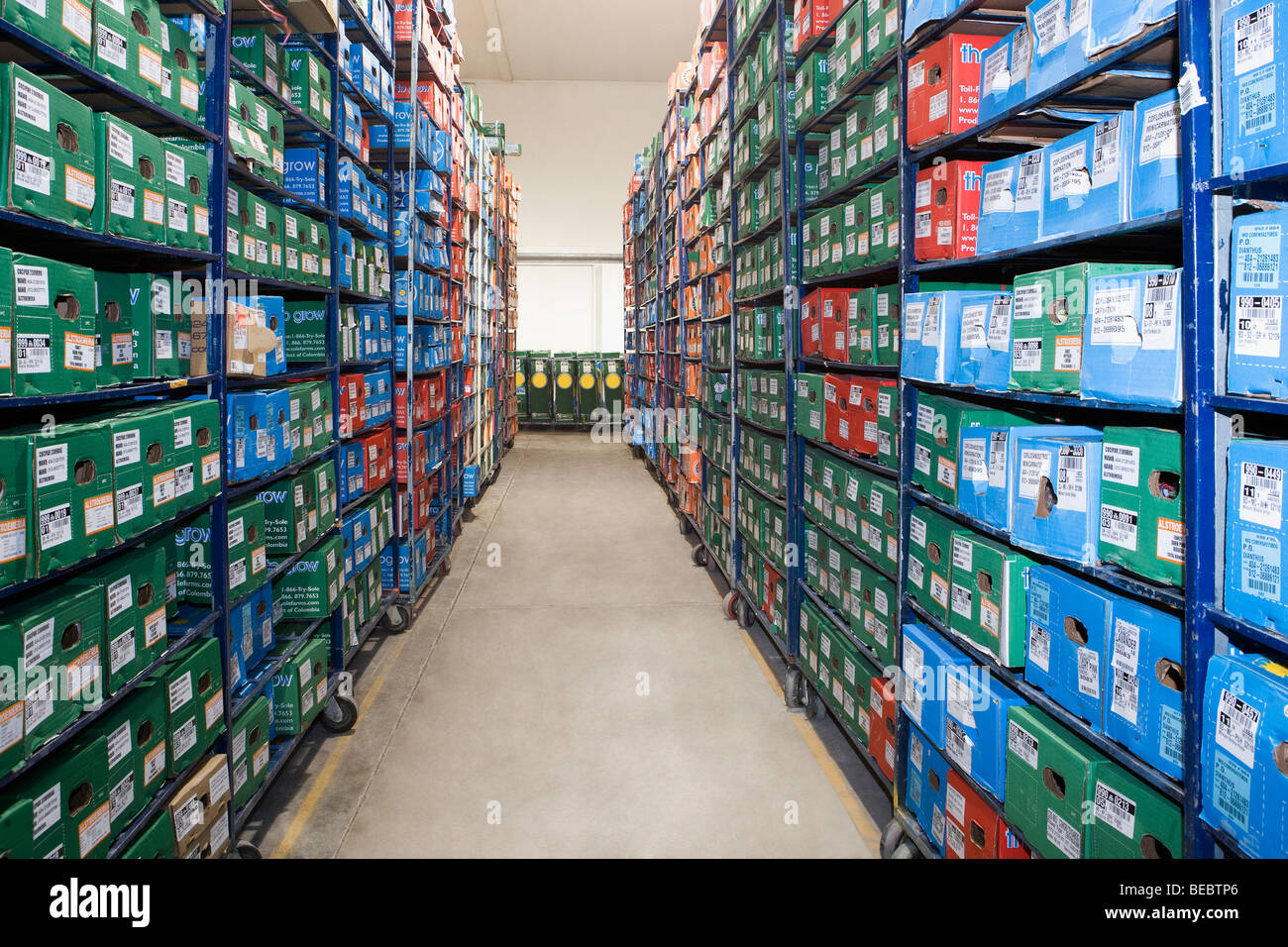 Flower boxes in a warehouse, Miami, Florida, USA Stock Photo Alamy