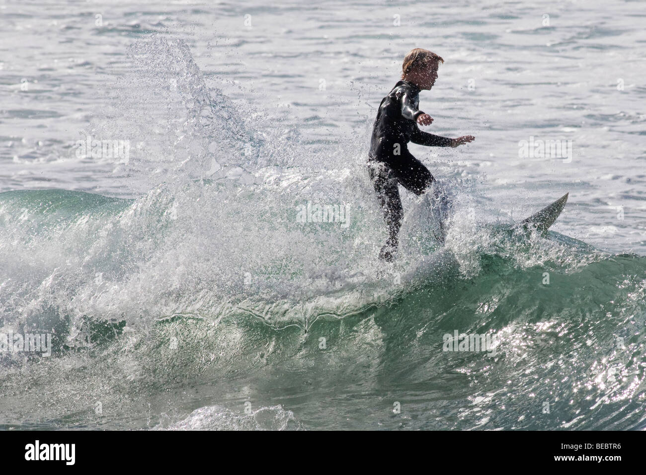 Surfer at Manly Beach in Sydney, Australia Stock Photo Alamy