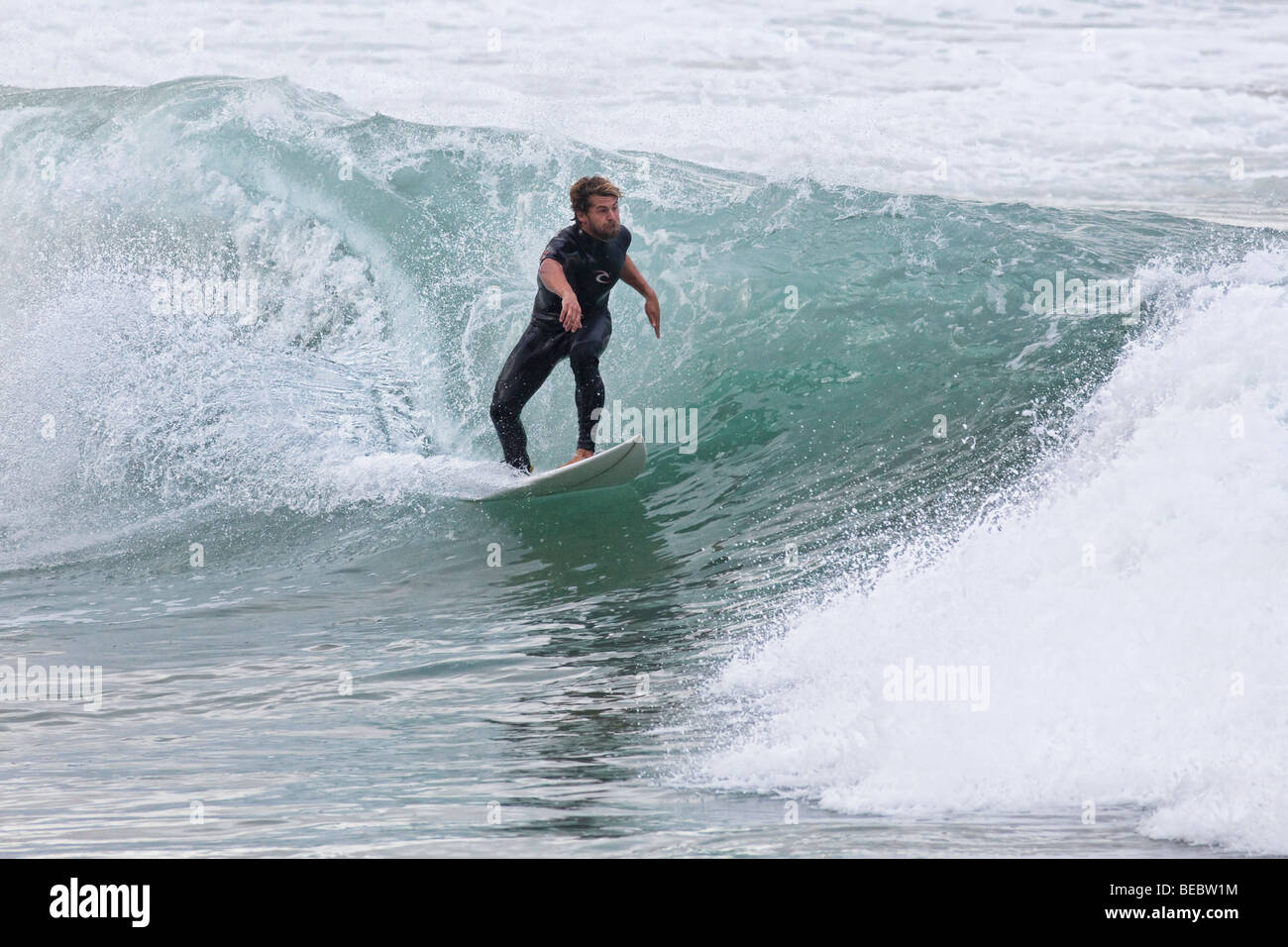 Surfer at Manly Beach in Sydney, Australia Stock Photo Alamy