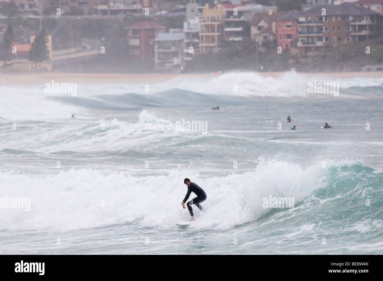 Surfer at Manly Beach in Sydney, Australia Stock Photo Alamy