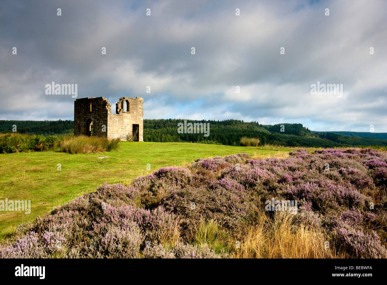 Skelton Tower Levisham Moor, North York Moors National Park Stock Photo