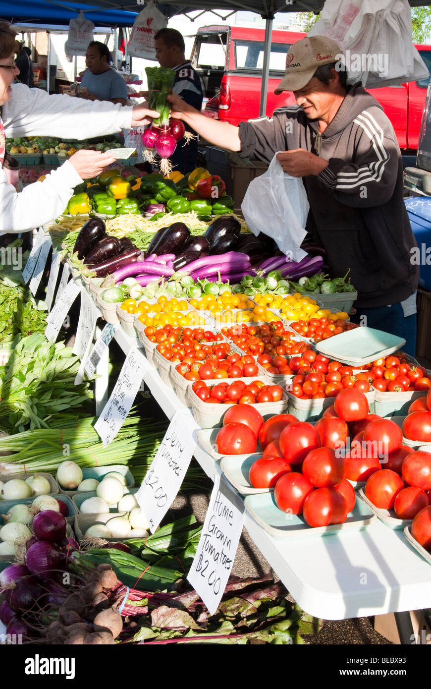 fresh vegetables at a farmers market in Minnesota Stock Photo