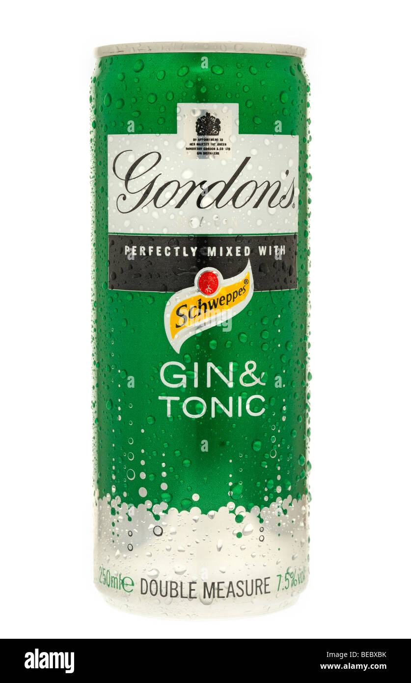 Can of Gordons Gin & Tonic Stock Photo