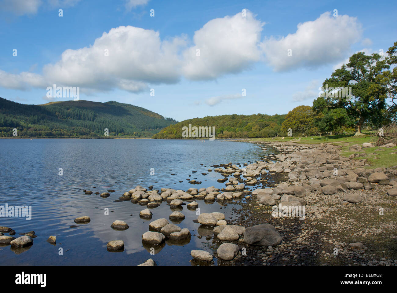 Rocky shore of Bassenthwaite Lake (at Mirehouse), Lake District National Park, Cumbria, England UK Stock Photo