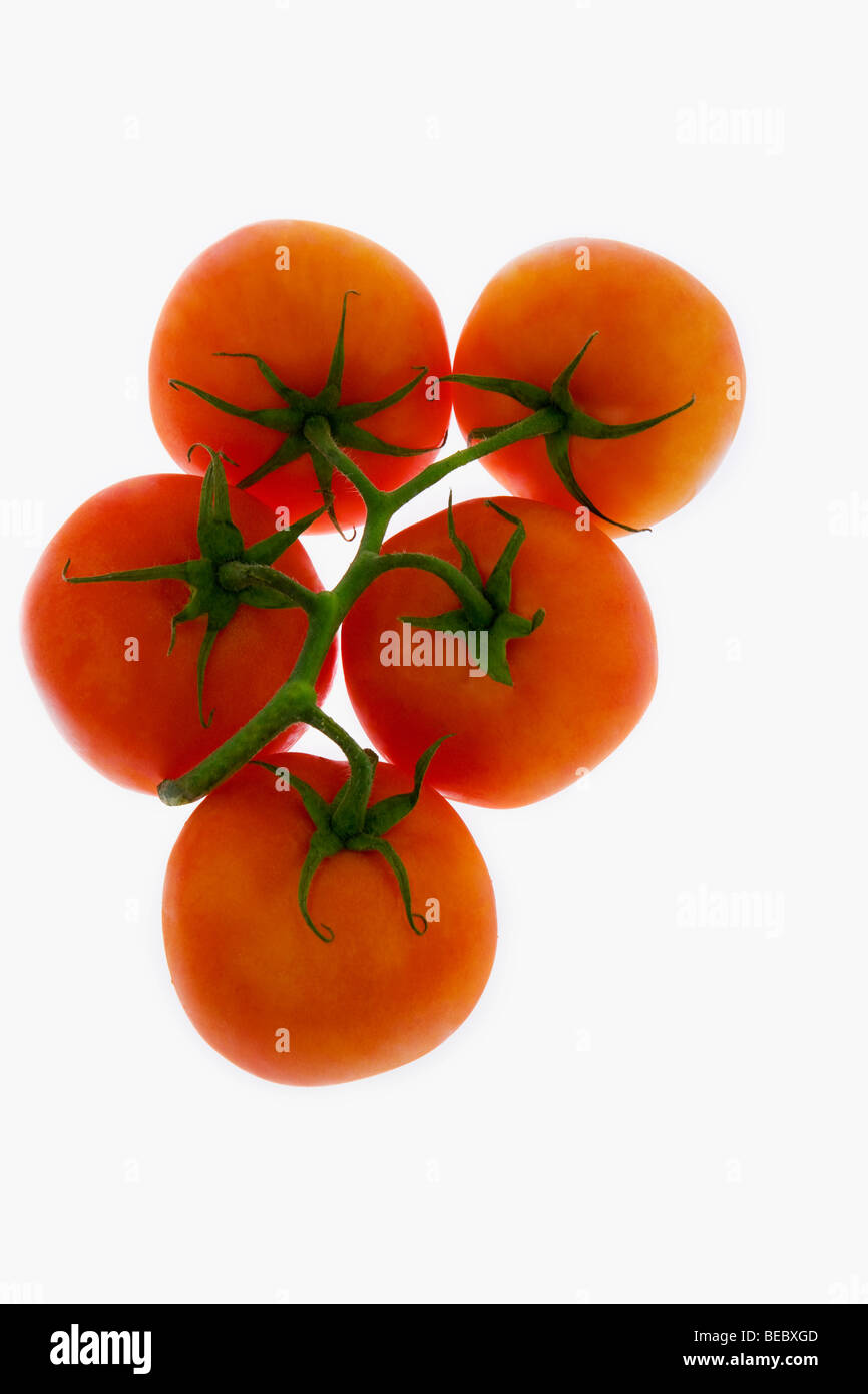 Close up shot bunch hi-res stock photography and images - Alamy