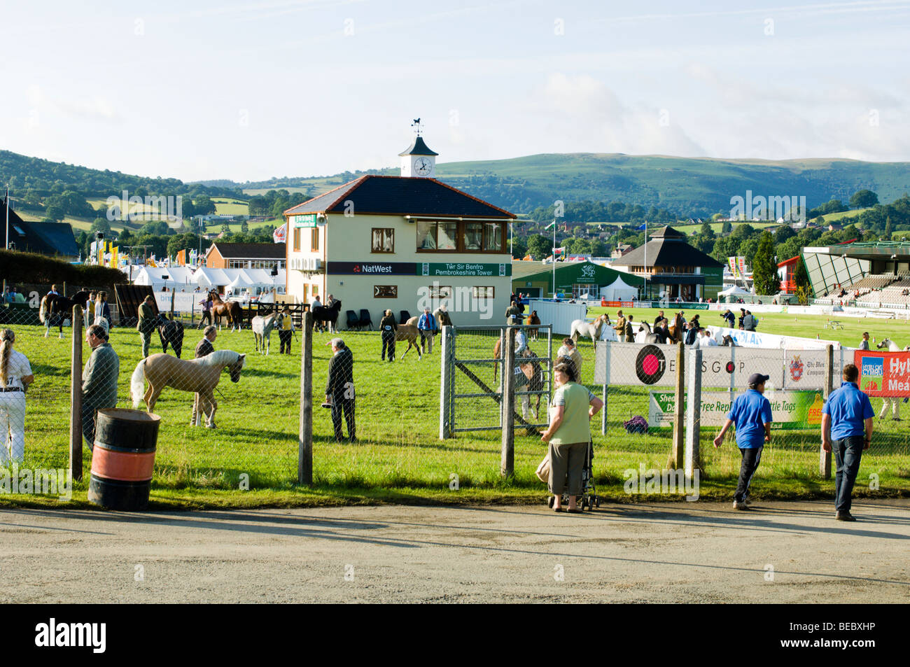 Preparing horses for judging at the Royal Welsh Show Stock Photo