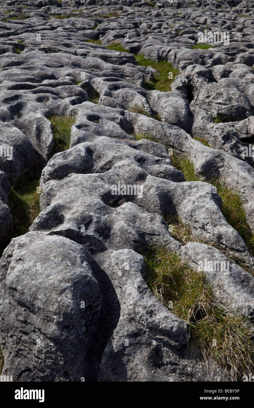 Limestone pavement, North Yorkshire, England, UK Stock Photo Alamy