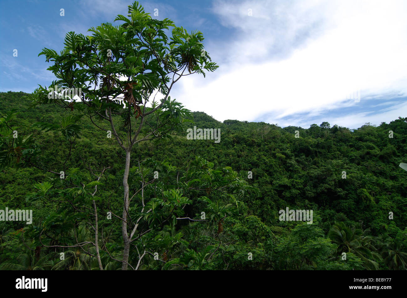 View from Nuts Huts, Near Loboc, Bohol, The Visayas, Philippines Stock