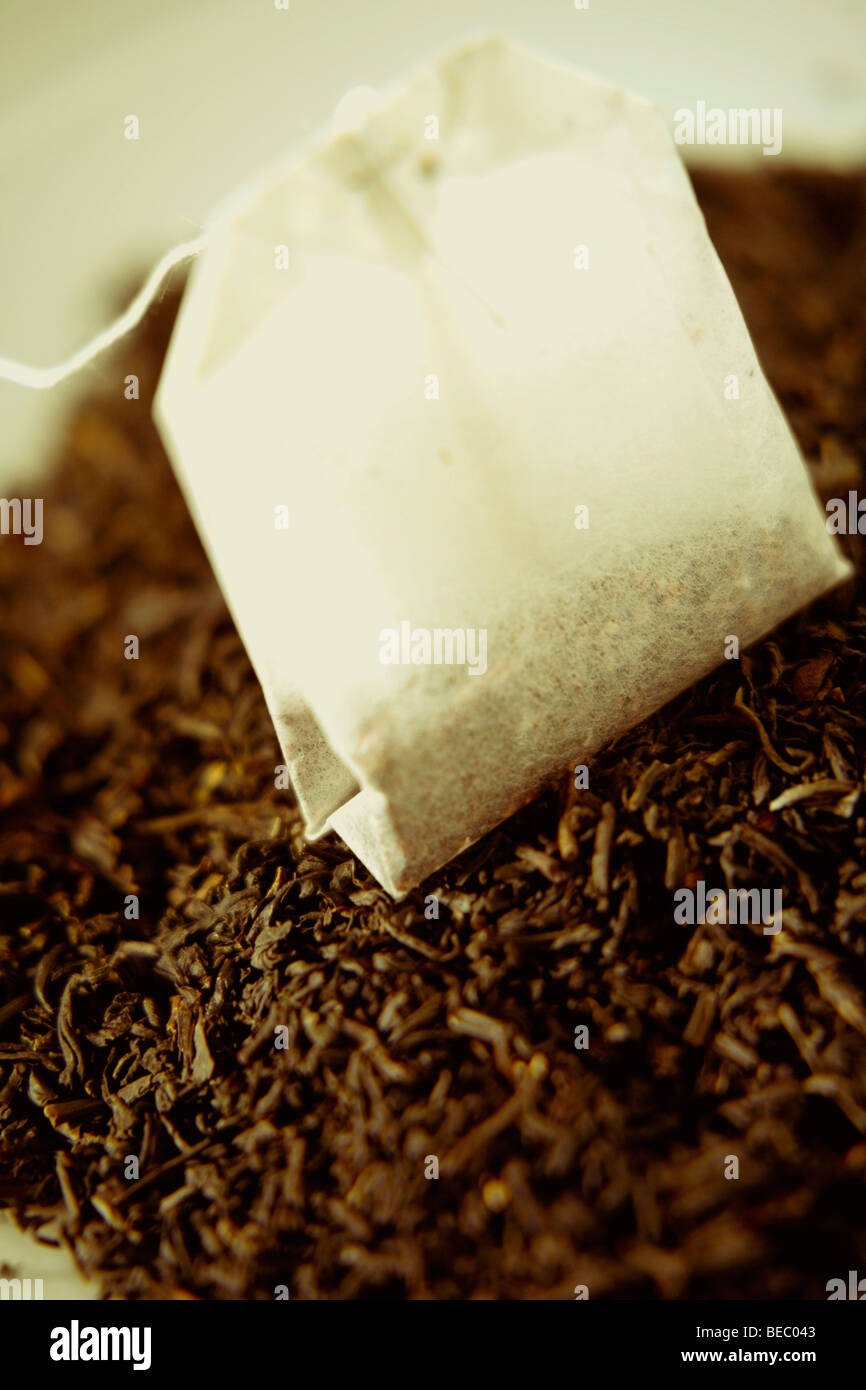Close-up of a teabag on tea leaves Stock Photo