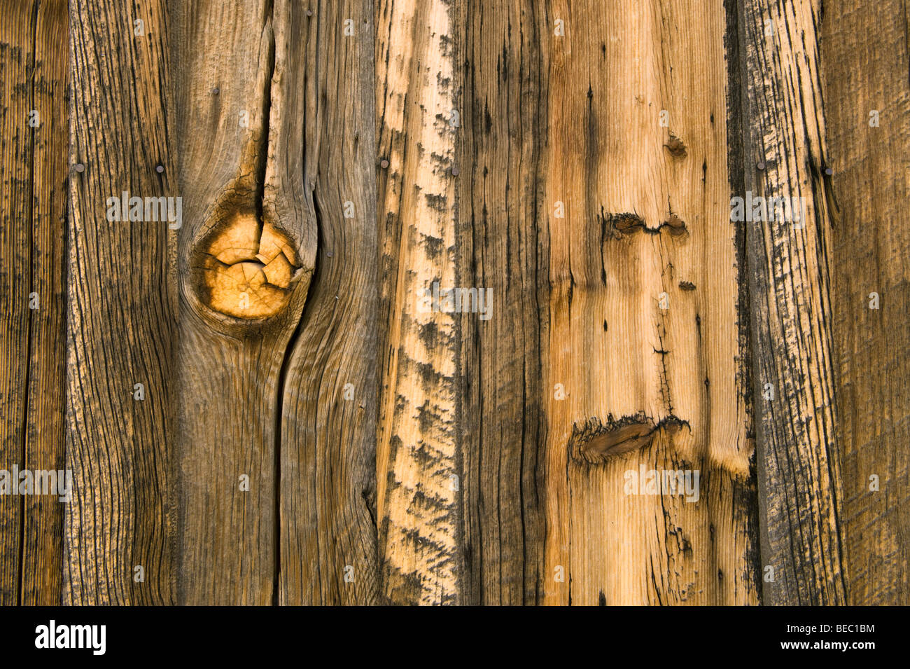 Ghost wood hires stock photography and images Alamy