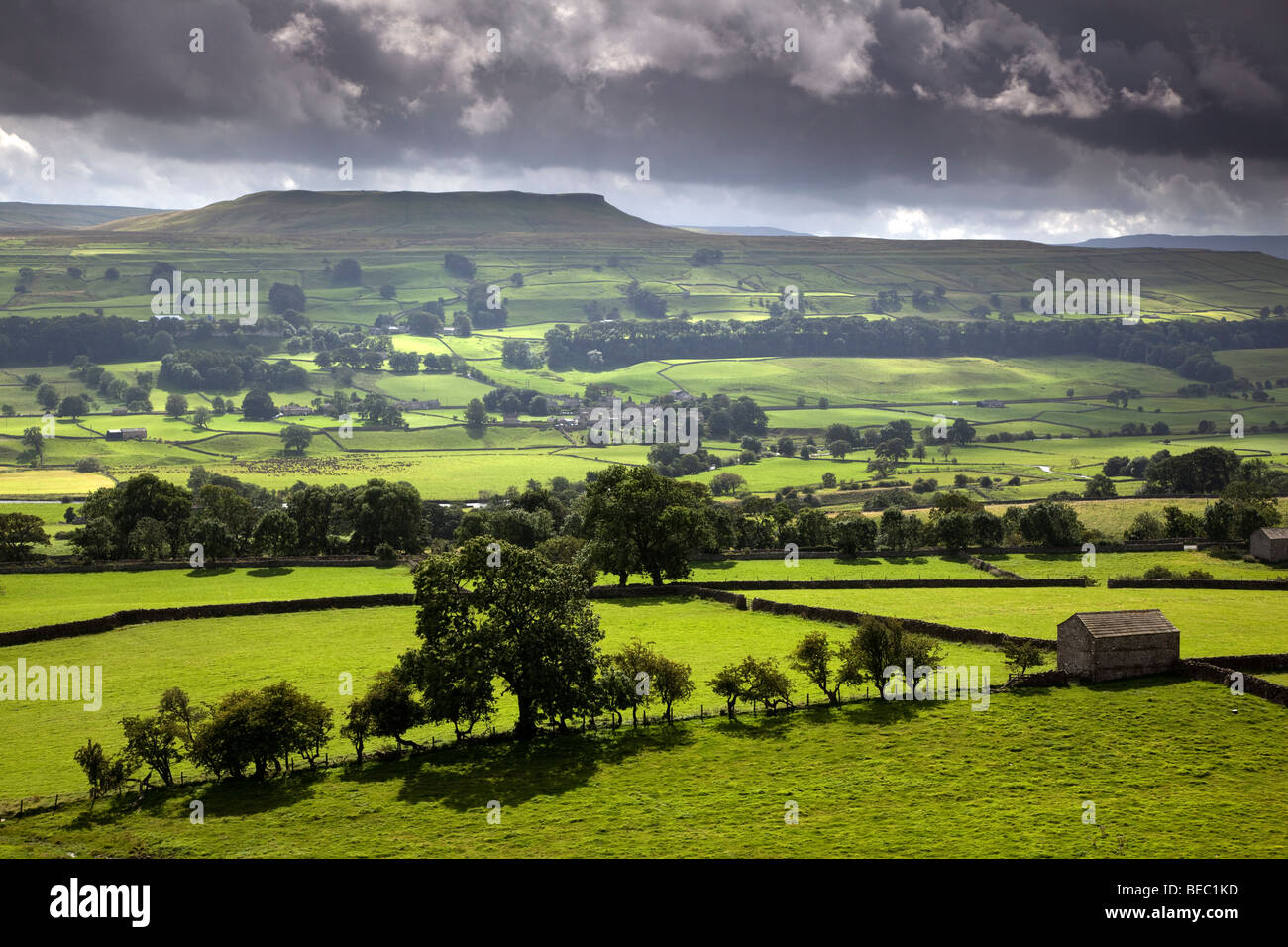 Addlebrough and Worton, Wensleydale, Yorkshire Dales National Park Stock Photo