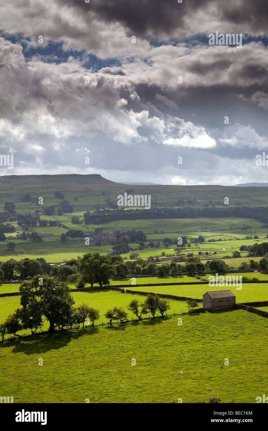 Addlebrough and Worton, Wensleydale, Yorkshire Dales National Park Stock Photo