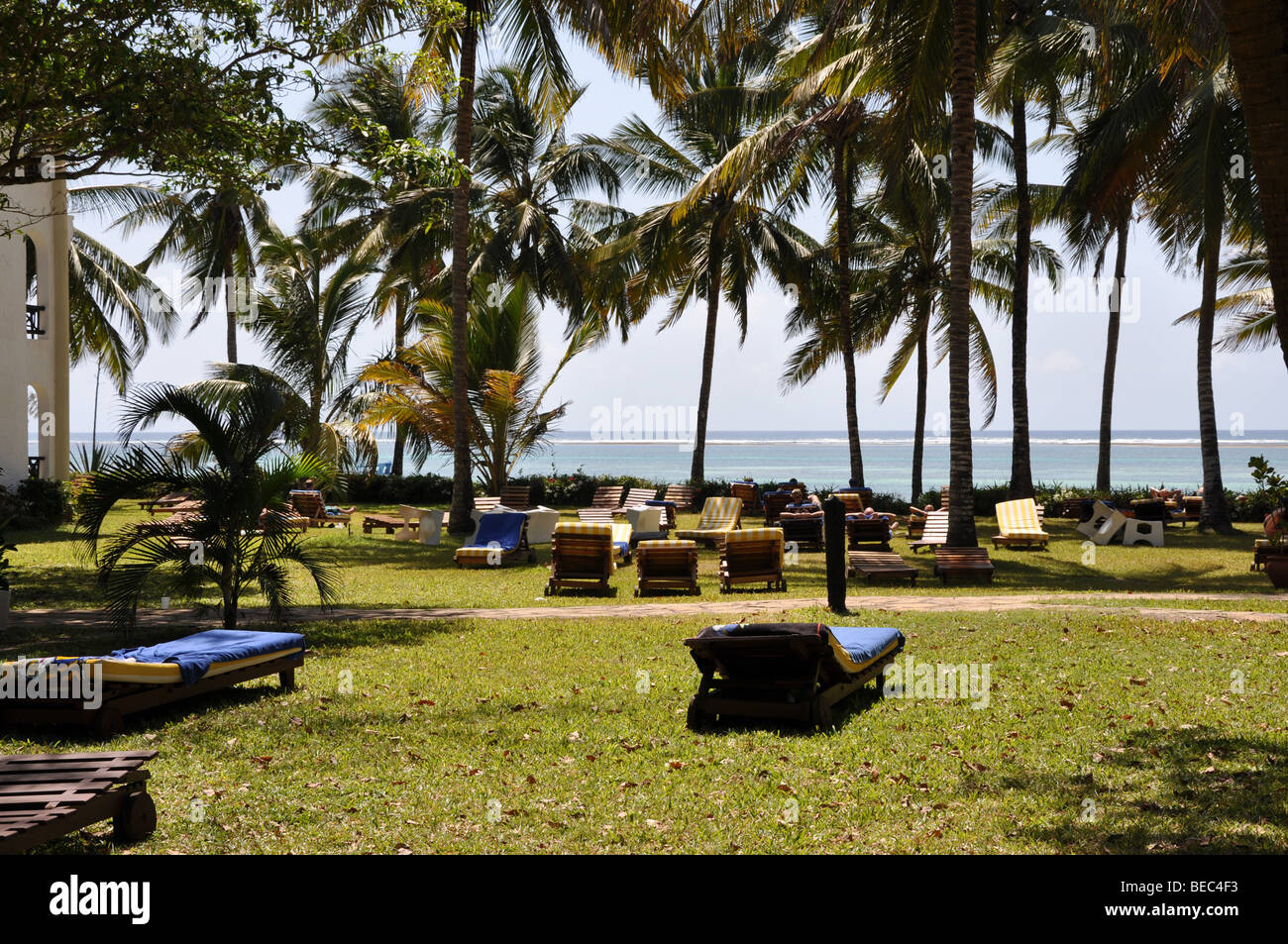 hotel papillon lagoon reef diani beach