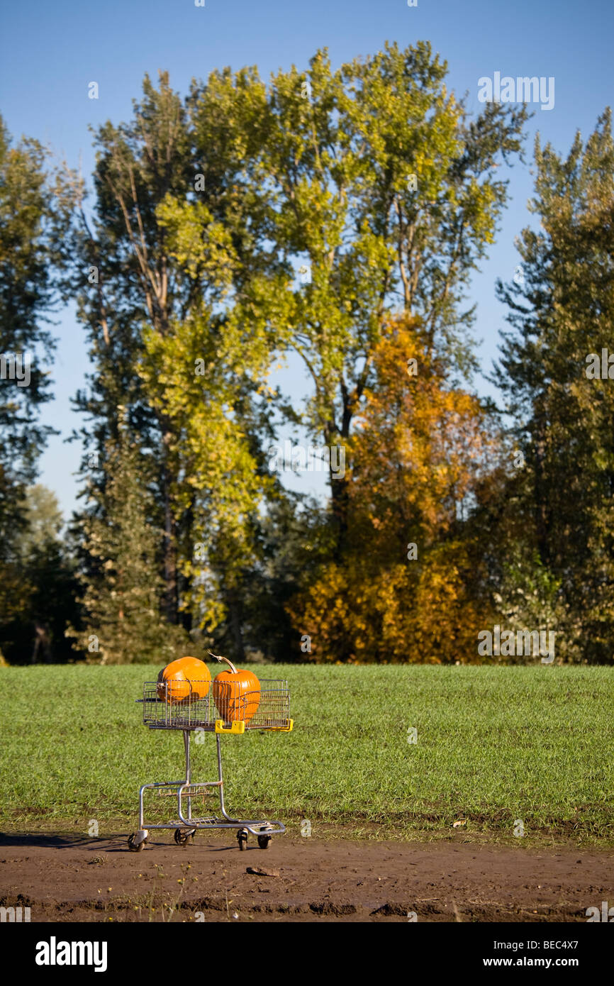 Food cart portland hires stock photography and images Alamy