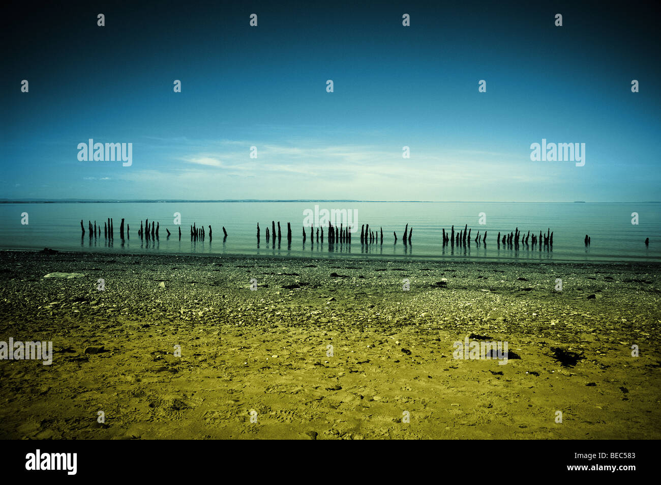 Groynes at Blue Anchor Beach, Somerset