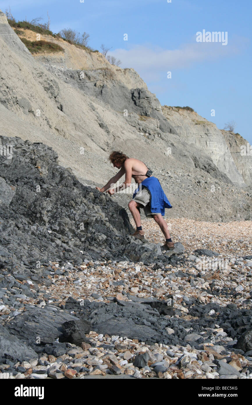 Fossil hunting below Charmouth Cliffs Stock Photo Alamy