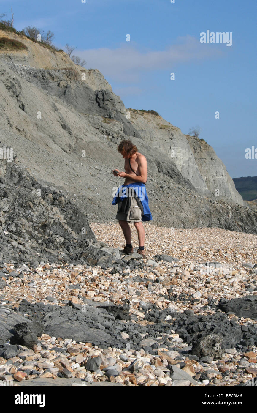 Fossil hunting below Charmouth Cliffs Stock Photo Alamy