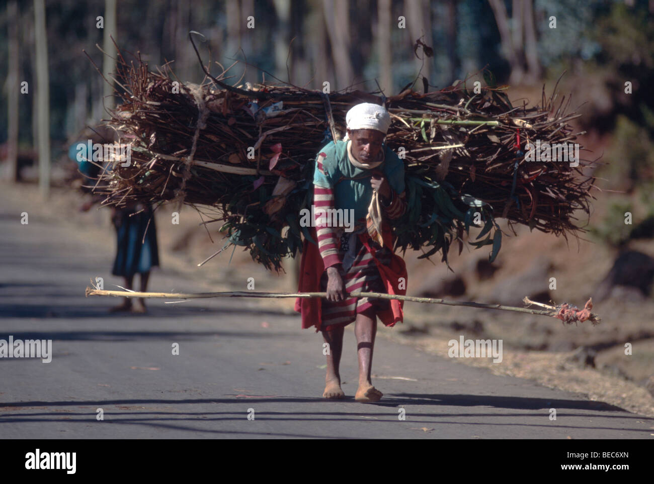 A woman carrying fuel wood from the top of Mount Entoto in Addis Ababba into the city.  Ethiopia, Africa Stock Photo