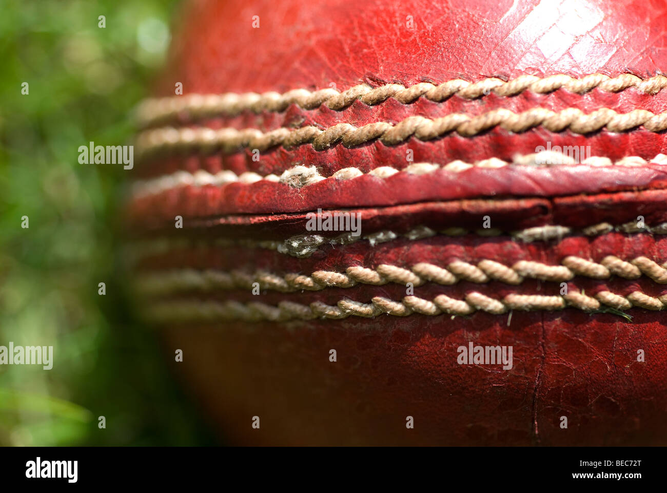 Close up of the raised Seam of a cricket ball or Duke (cherry) in grass,against, ball, bowl, cricket, english, isolated, old, ov Stock Photo