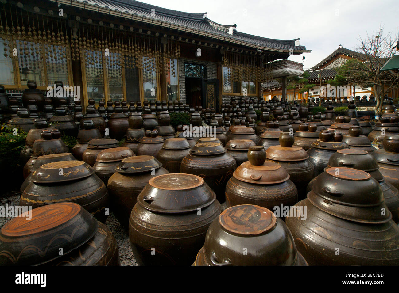 Clay jars containing jangachi, Sunchang Traditional Gochujang Village, South Korea Stock Photo
