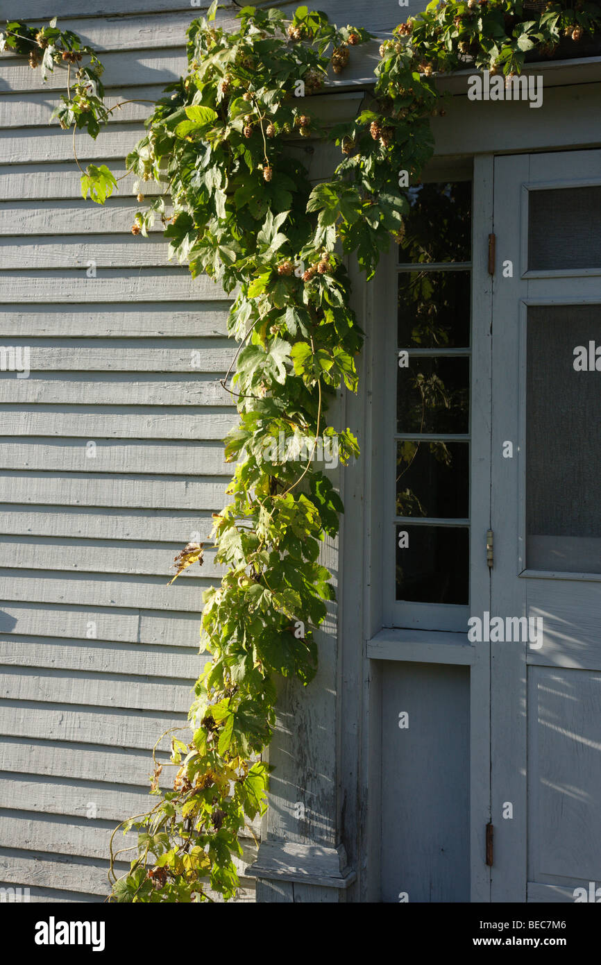 The RussellColbath Historic Homestead site in the White Mountains, New Hampshire USA Stock