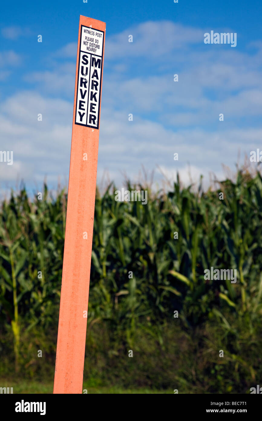 Survey marker in the field Stock Photo