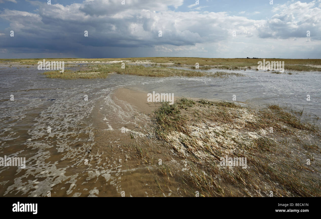 Water run-off flooding over a salt marsh, Mellum Island, Lower Saxony Wadden Sea National Park, UNESCO World Heritage Site, Low Stock Photo