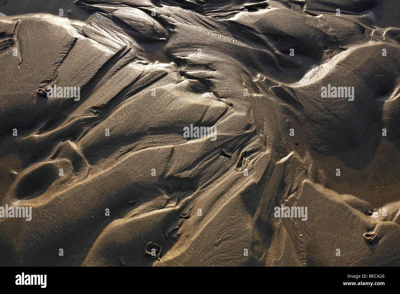 Irregular structures in the mud flats, Mellum Island, Lower Saxony Wadden Sea National Park, UNESCO World Heritage Site, Lower  Stock Photo