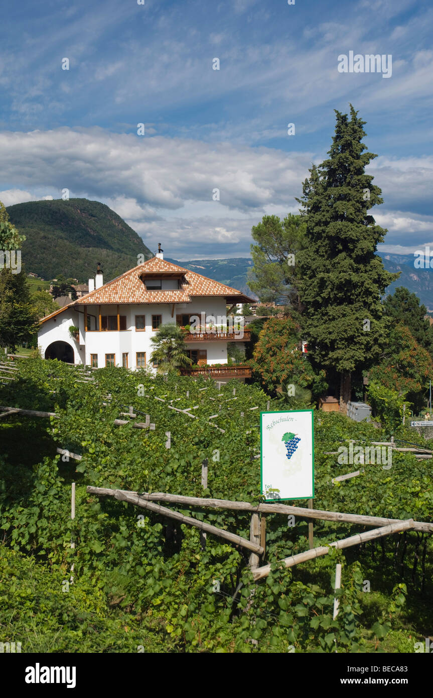 Mitterdorf, vineyard, winery and hotel, Kaltern or Caldaro, Trentino, Alto Adige, Italy, Europe Stock Photo