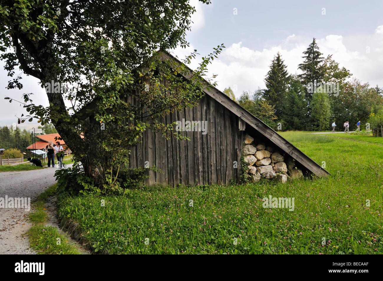 haystack-on-a-meadow-glentleiten-farming-museum-bavaria-germany-europe-BECAAF.jpg