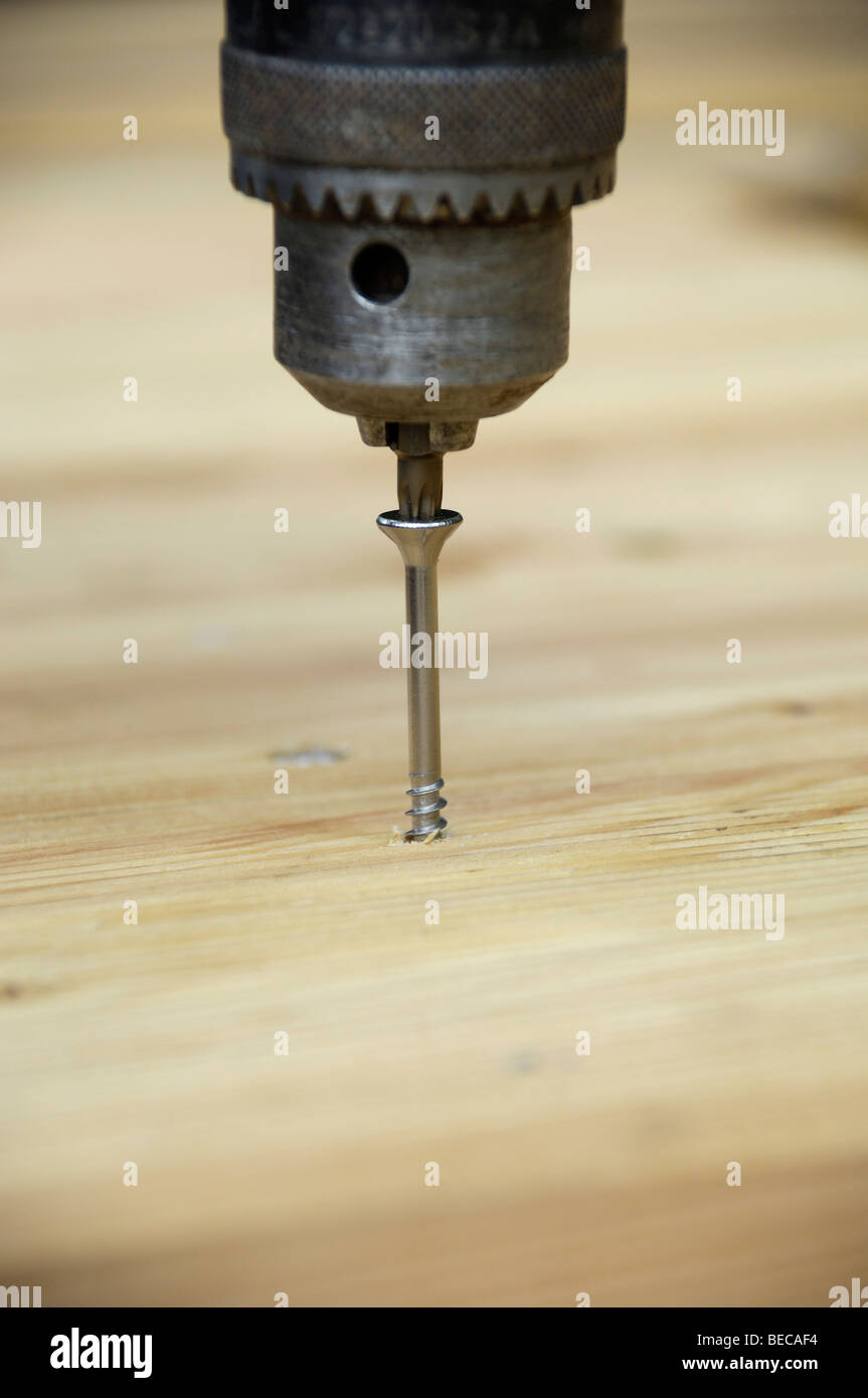 Drill driving in a screw, closeup Stock Photo Alamy
