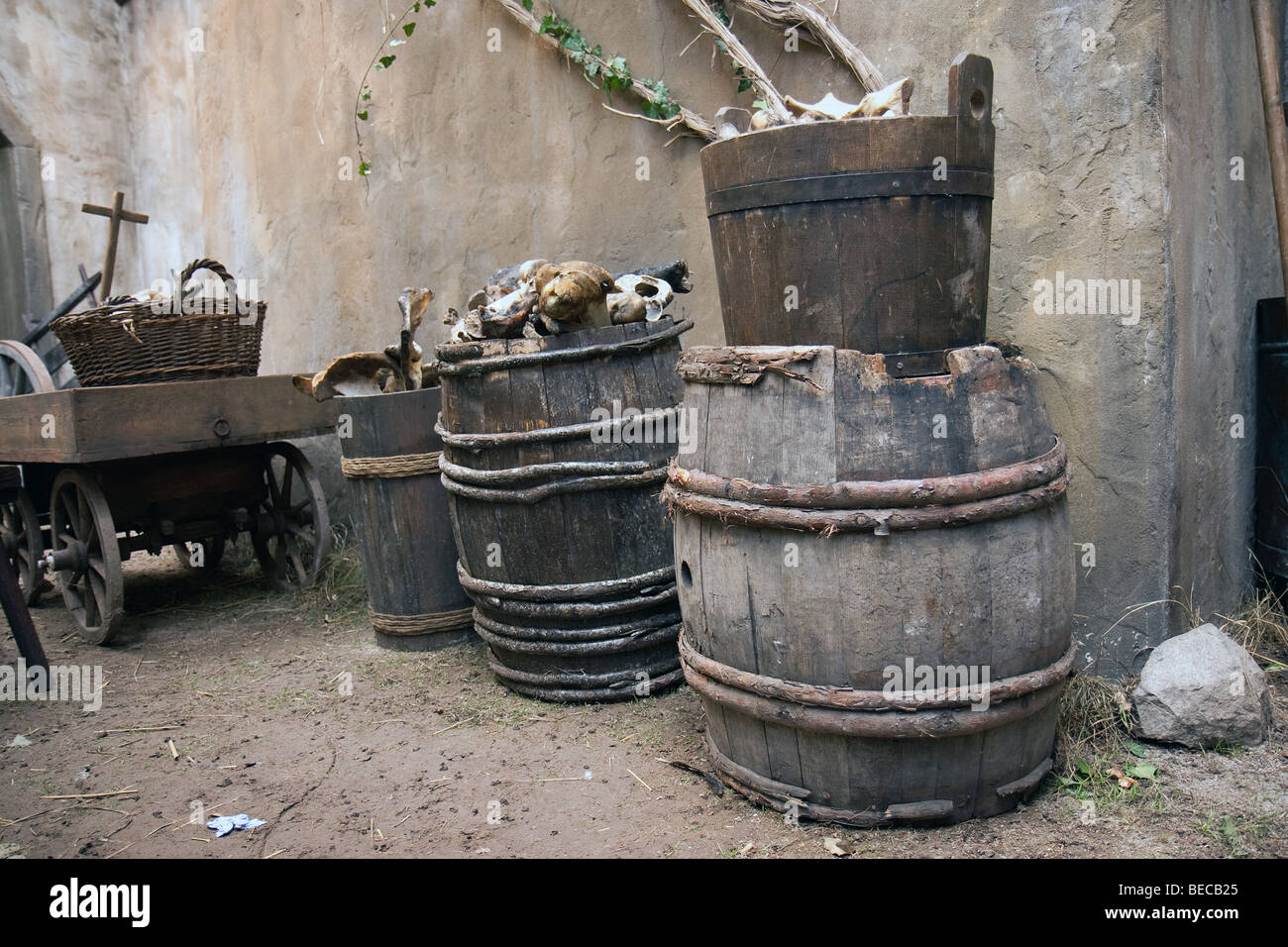 The Old Barrels With Bones Stock Photo - Alamy