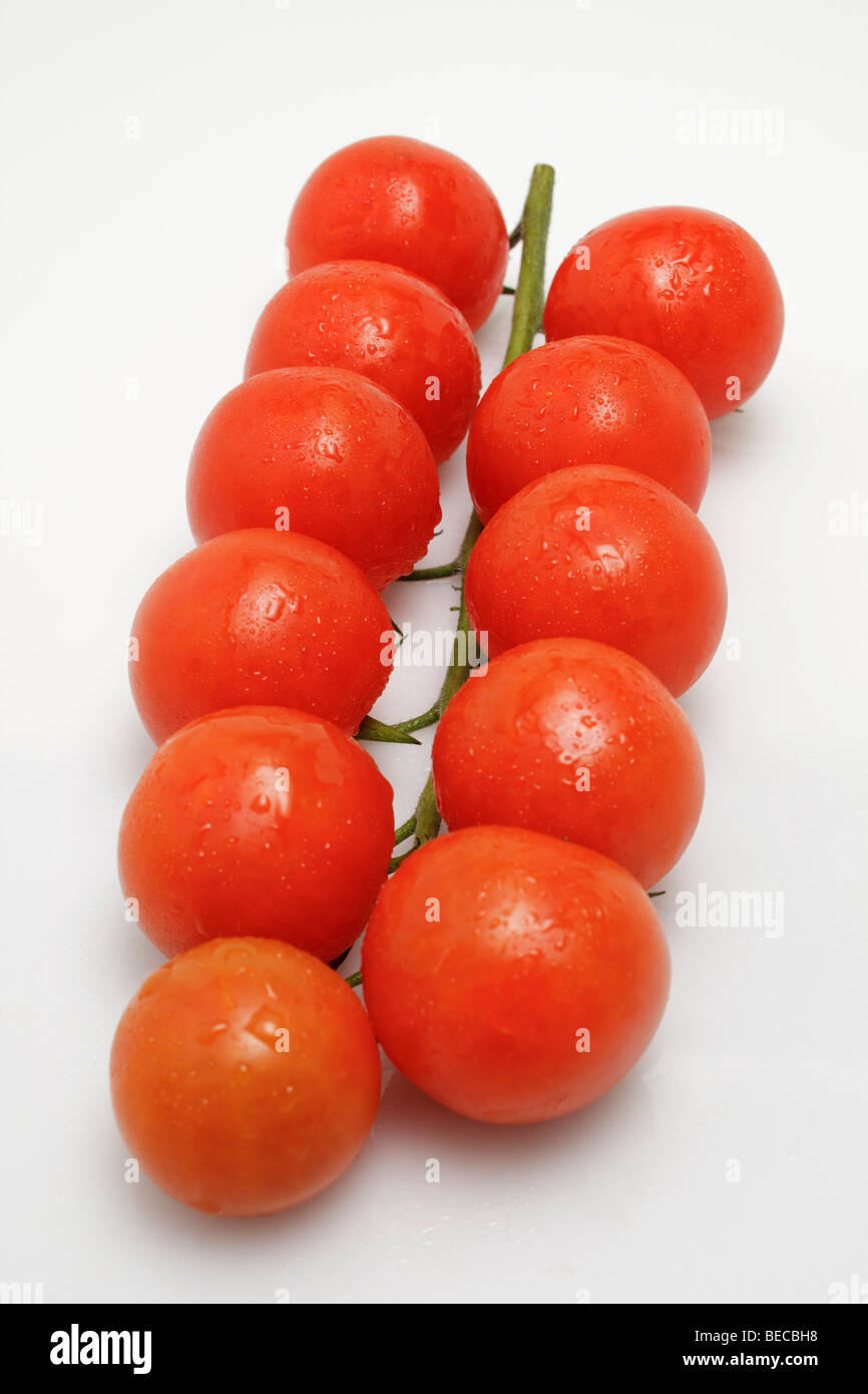 Mini or Cocktail Tomatoes (Solanum lycopersicum) on the vine Stock Photo