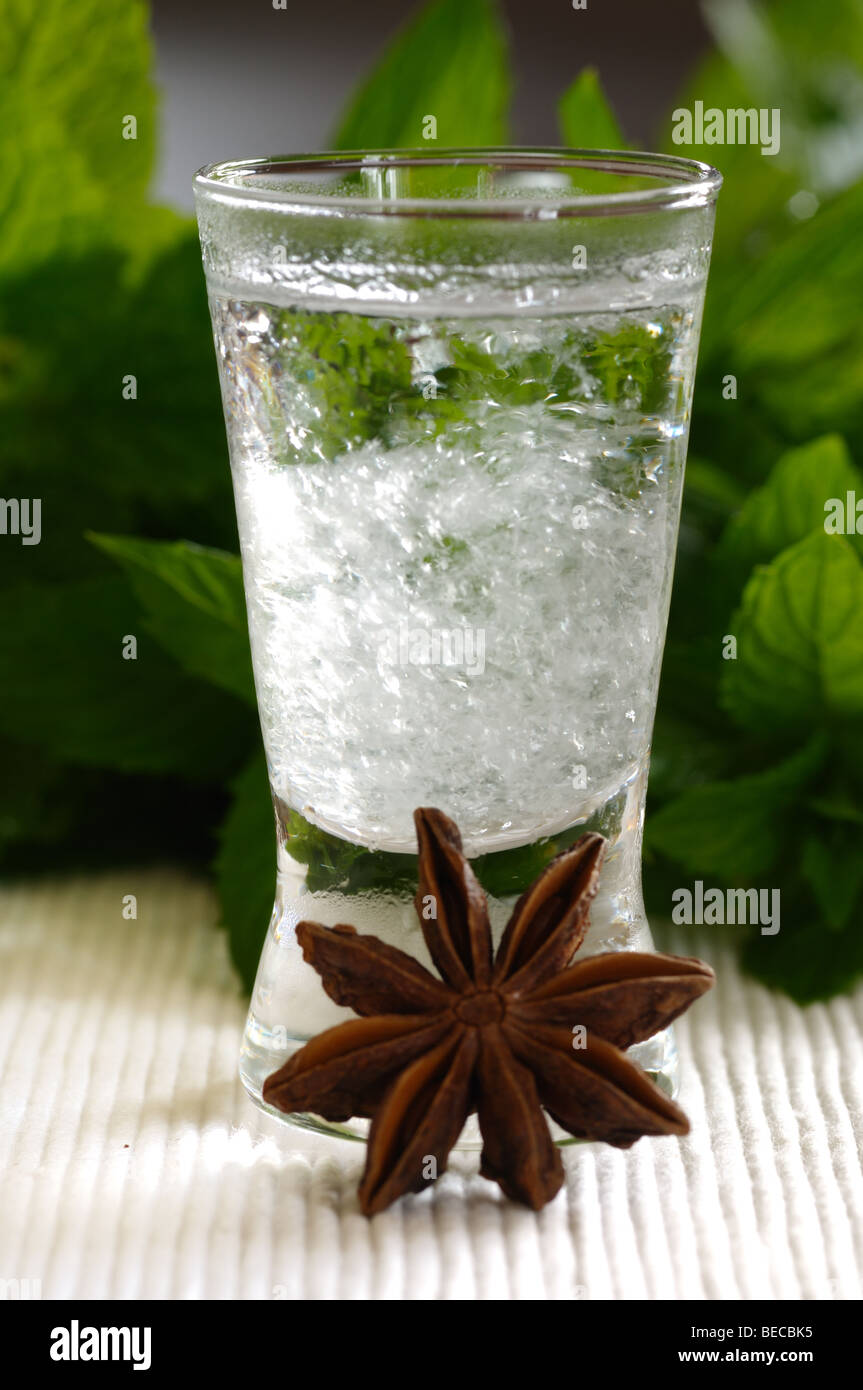 Chilled mastika alkohol with aniseed flavour (tastes like greek ouzo) Stock Photo
