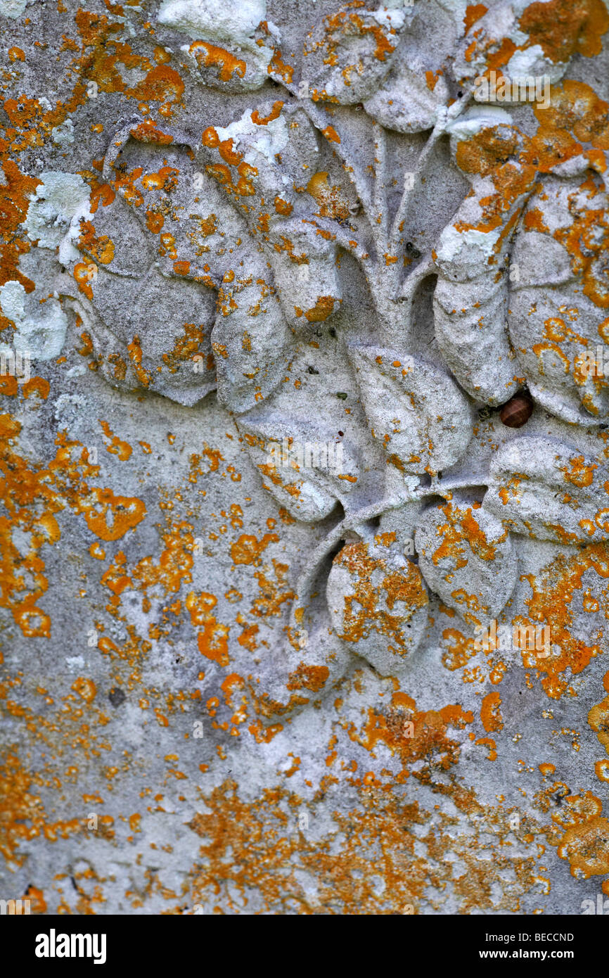 Lichen gravestone hi-res stock photography and images - Alamy