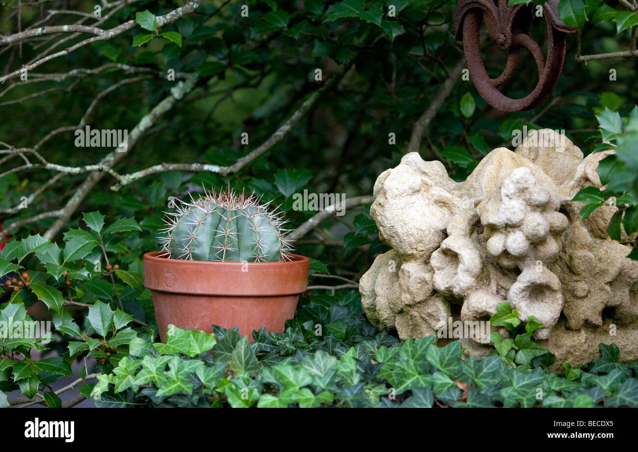 Melocactus, a ribbed, ball-shaped flowering cactus from Mexico in a pot next to an outdoor garden sculpture. Stock Photo