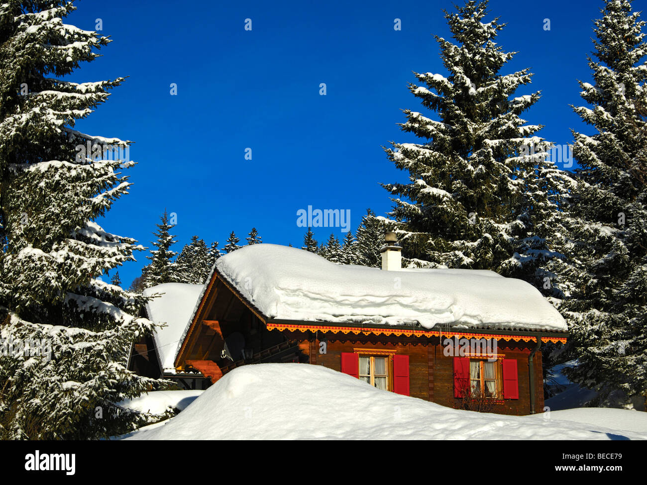 Snow-block house near the forest, Jura, Switzerland Stock Photo
