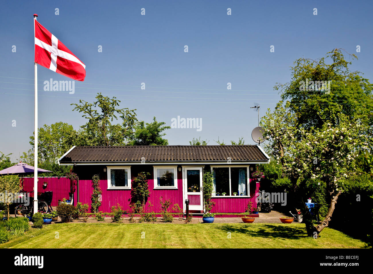 Allotment garden, Copenhagen, Denmark Stock Photo Alamy