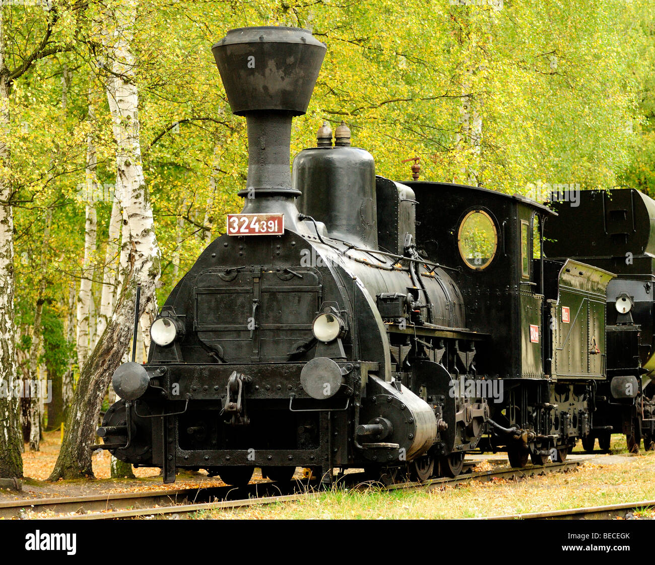 Steam Locomotive coal tank engine railway Stock Photo - Alamy
