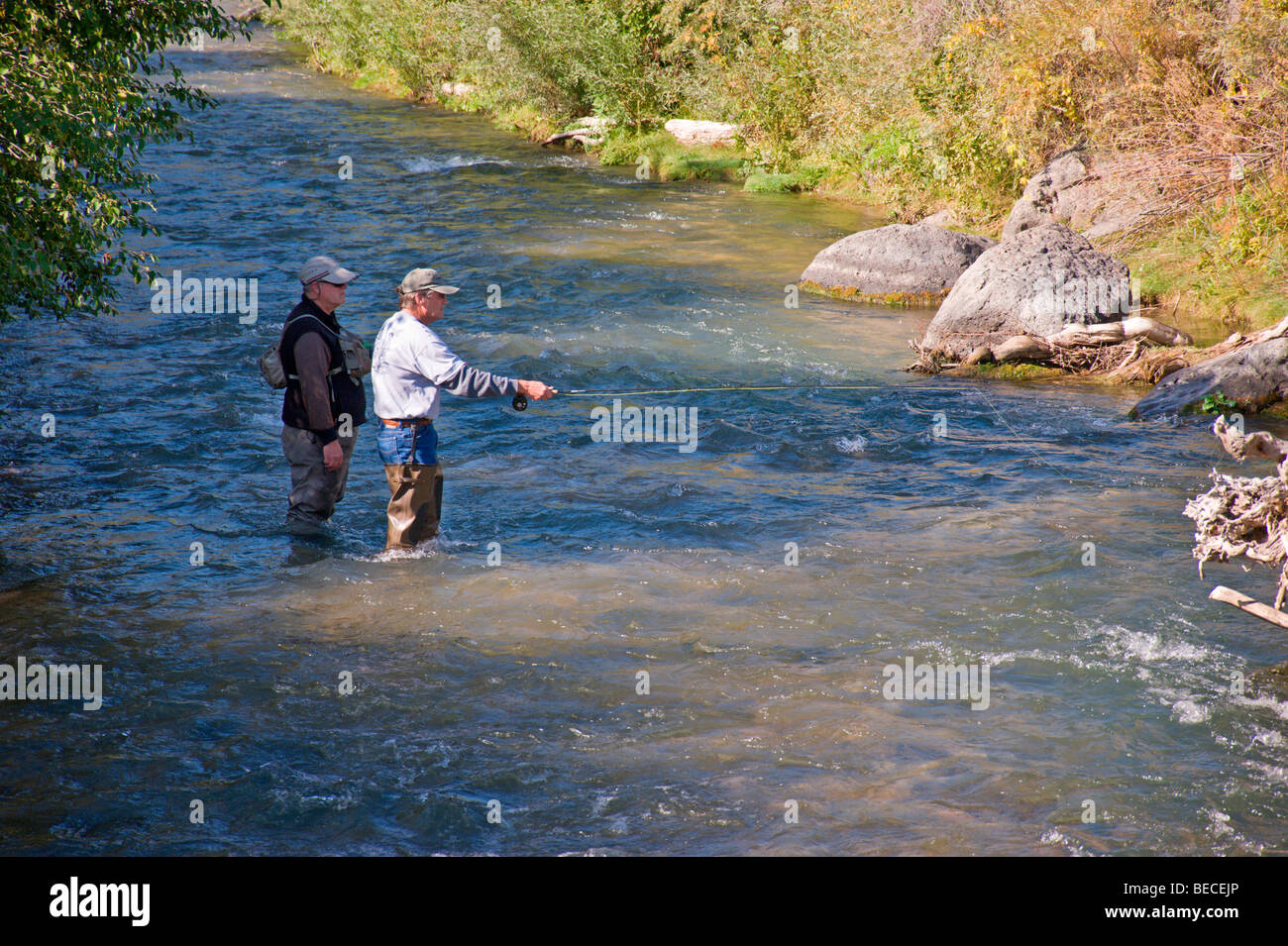 Red River State Trout Hatchery near Red River, New Mexico Stock Photo Alamy