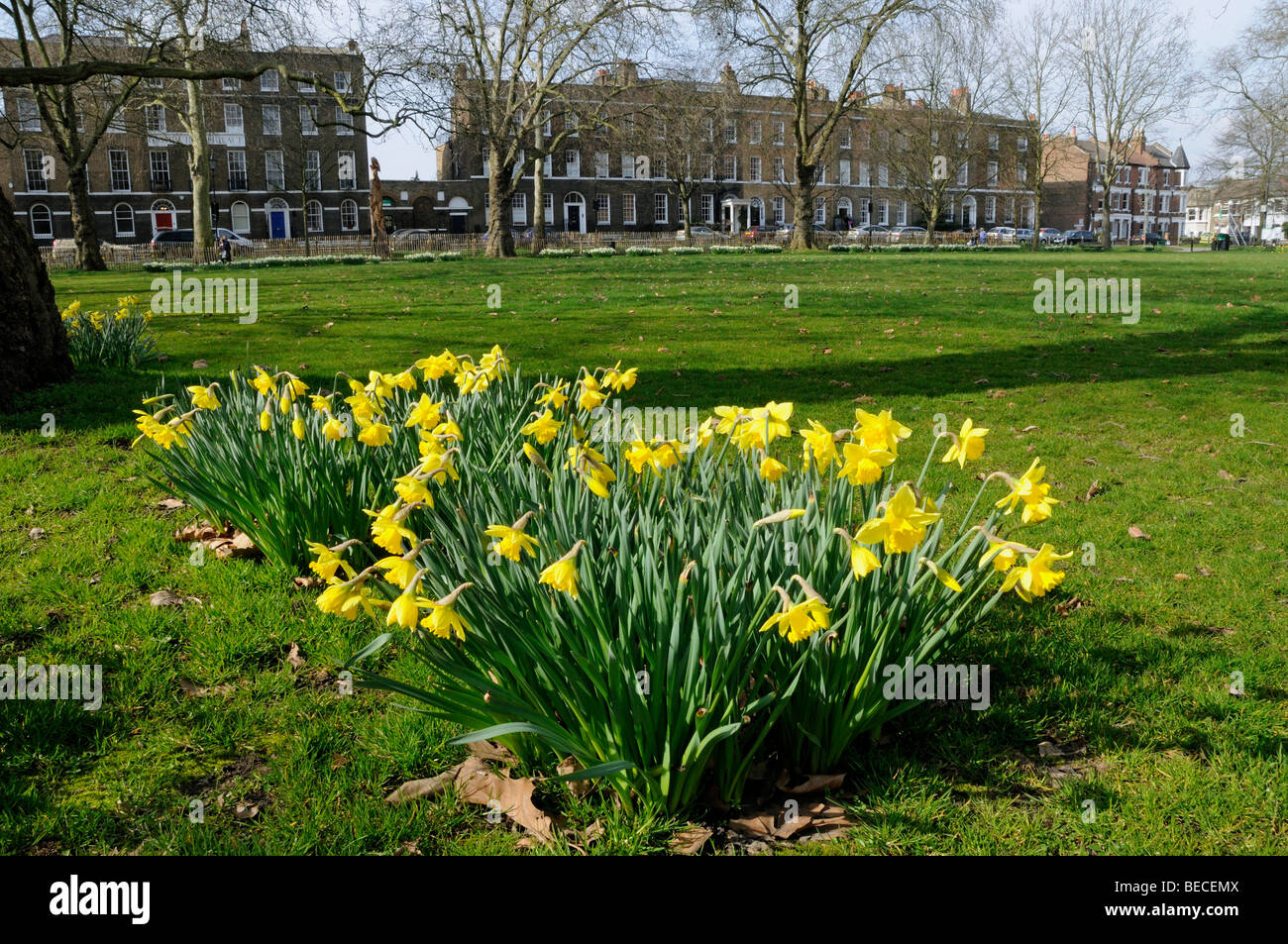 Highbury terrace highbury london n5 hires stock photography and images