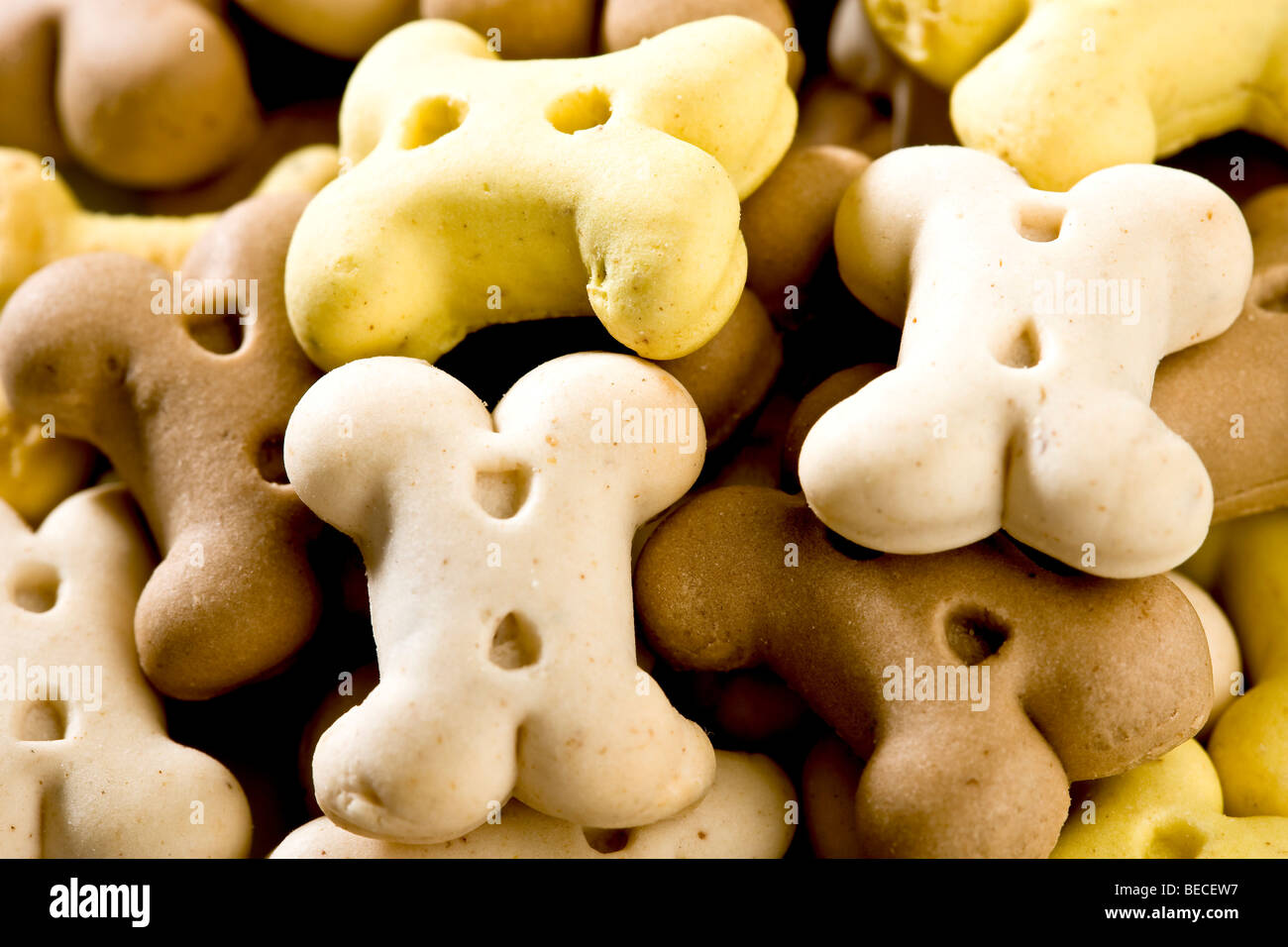 Dog biscuits Stock Photo