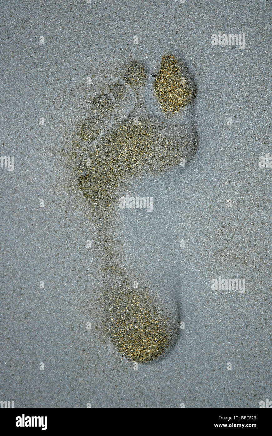 Footprint in the sand Stock Photo Alamy