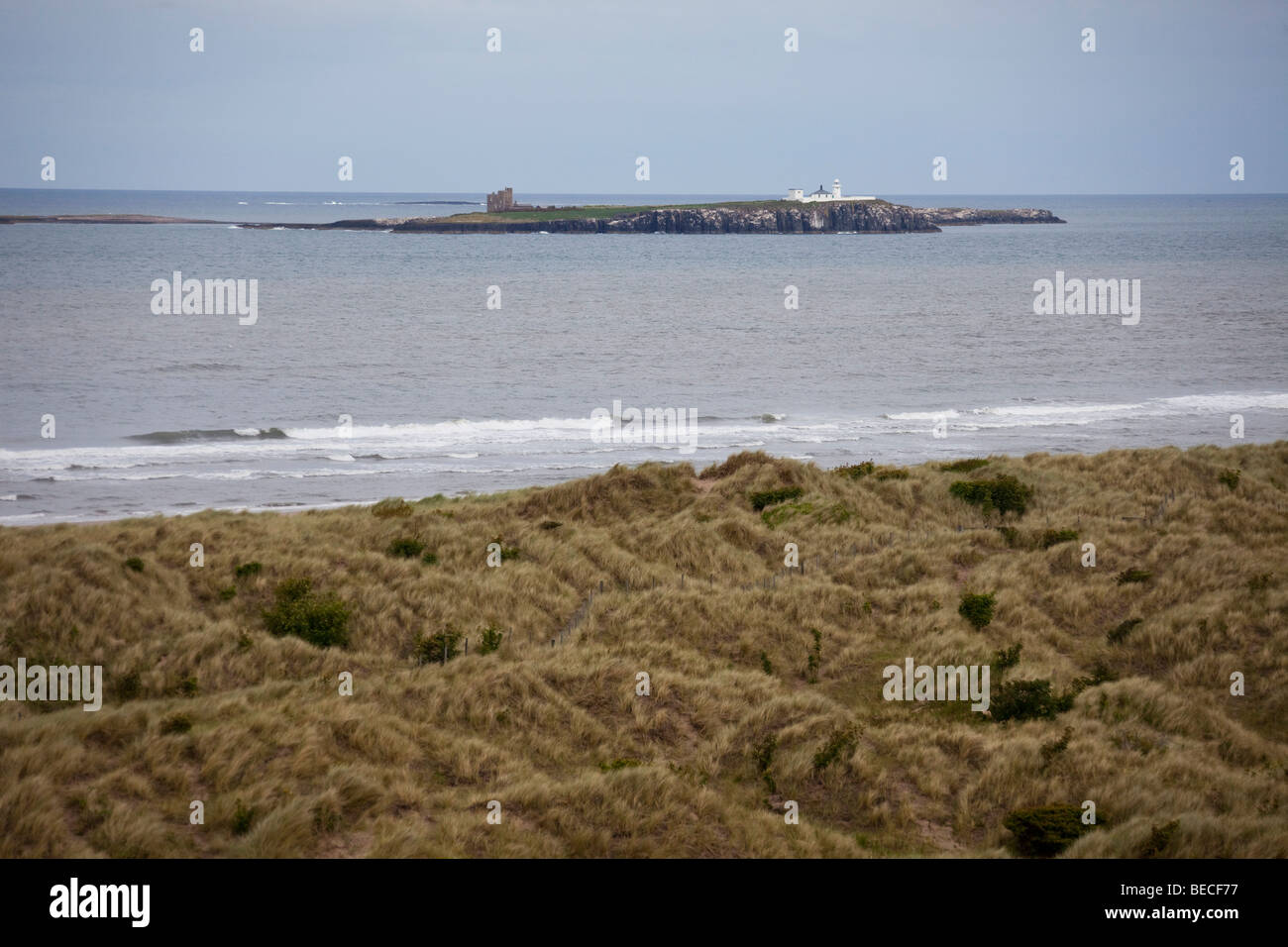 Farne Islands near Lindisfarne Holy Island low tide harbour beach UK