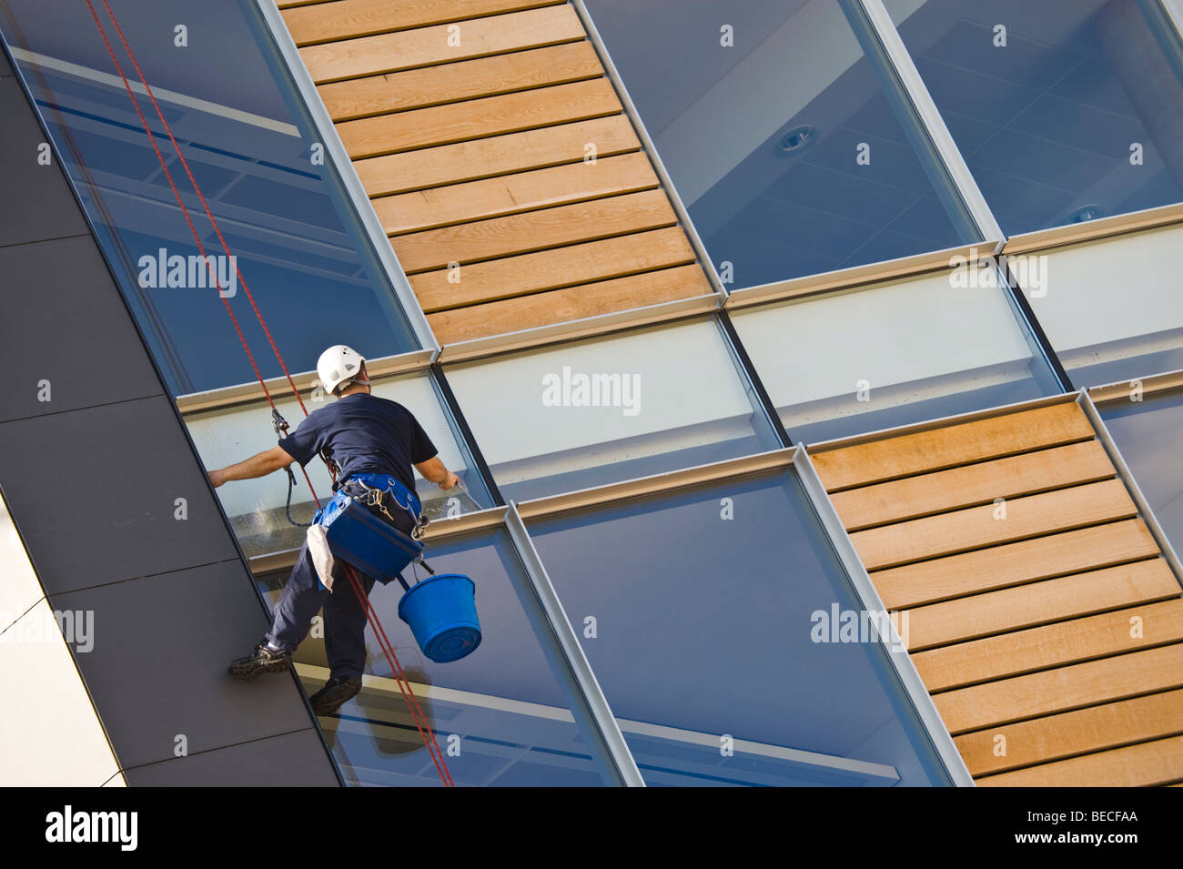 Window cleaner using industrial rope access techniques abseiling down