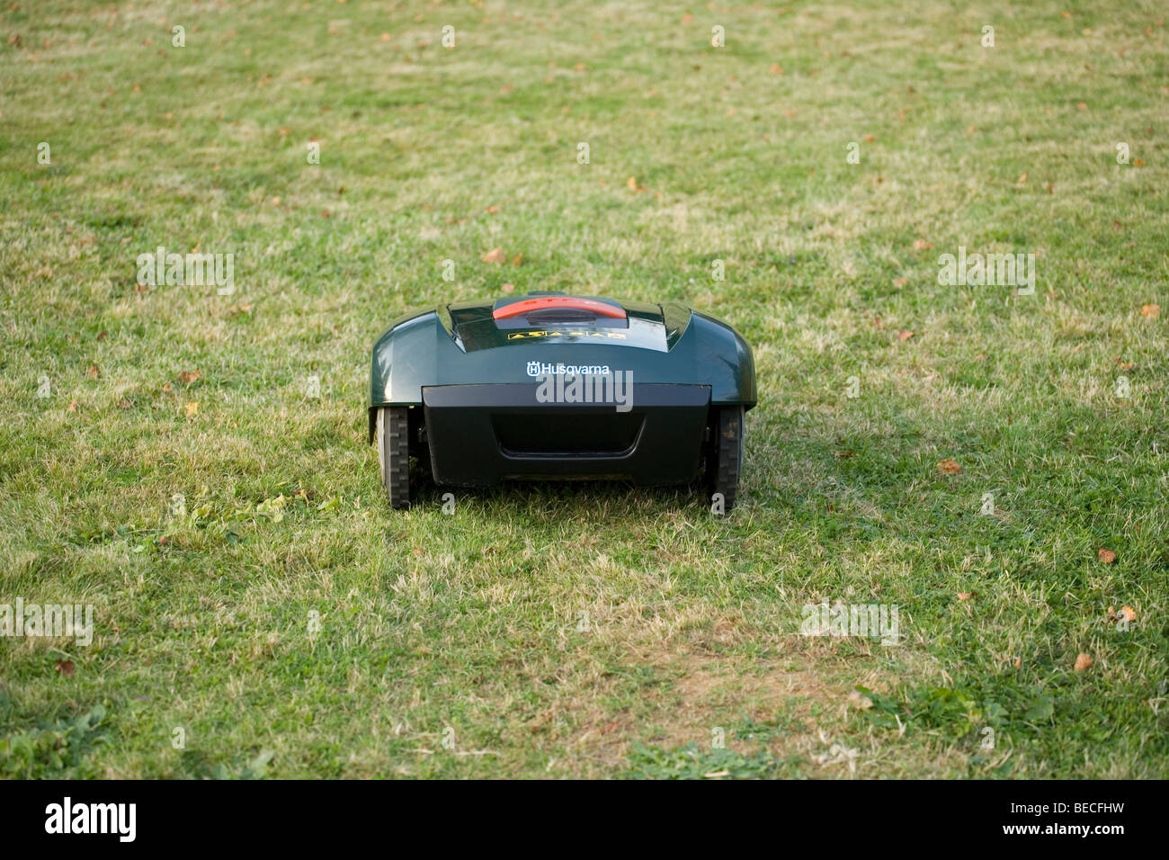 Automatic robot lawn mower cutting grass rear view Stock Photo Alamy