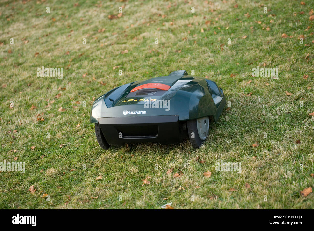 Automatic robot lawn mower cutting grass, rear view Stock Photo Alamy