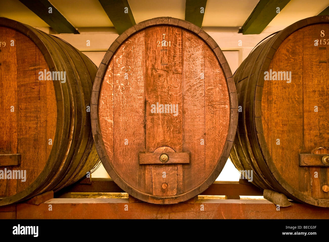 Port wine wooden casks hires stock photography and images Alamy